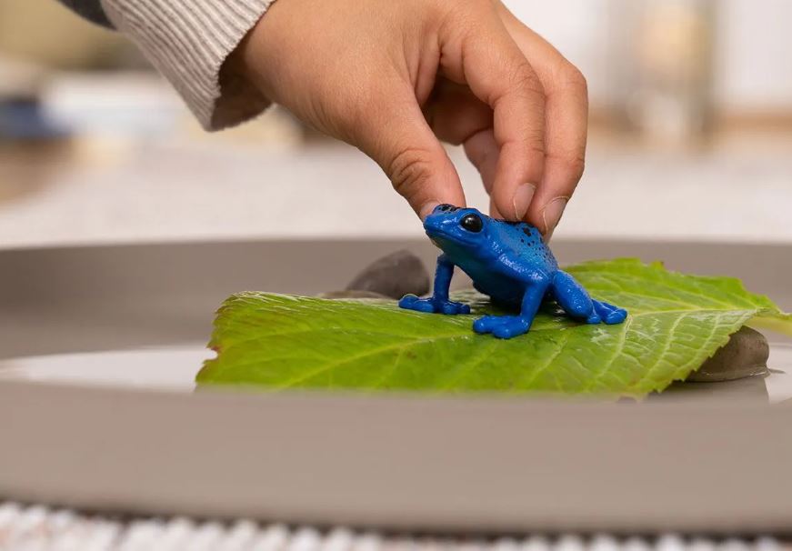 Schleich Blauer Pfeilgiftfrosch 14864 - Bild 2