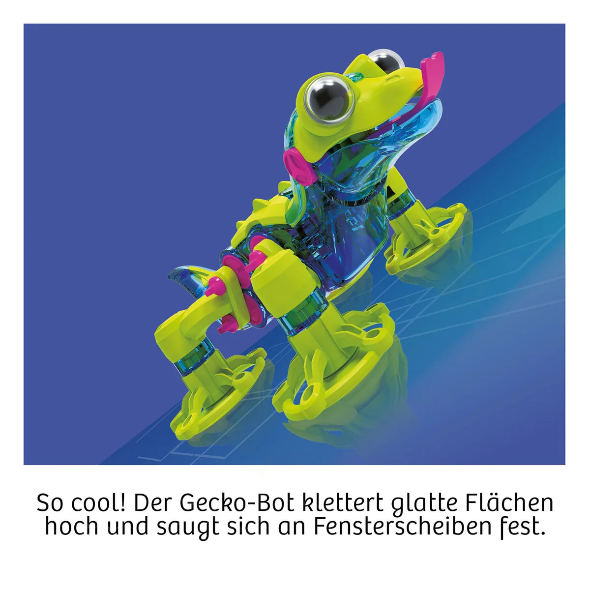 Kosmos Gecko - Bot - Bild 2