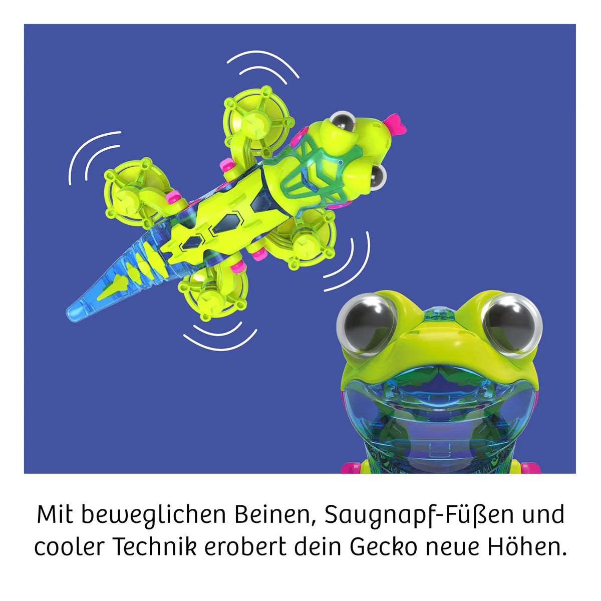 Kosmos Gecko - Bot - Bild 4