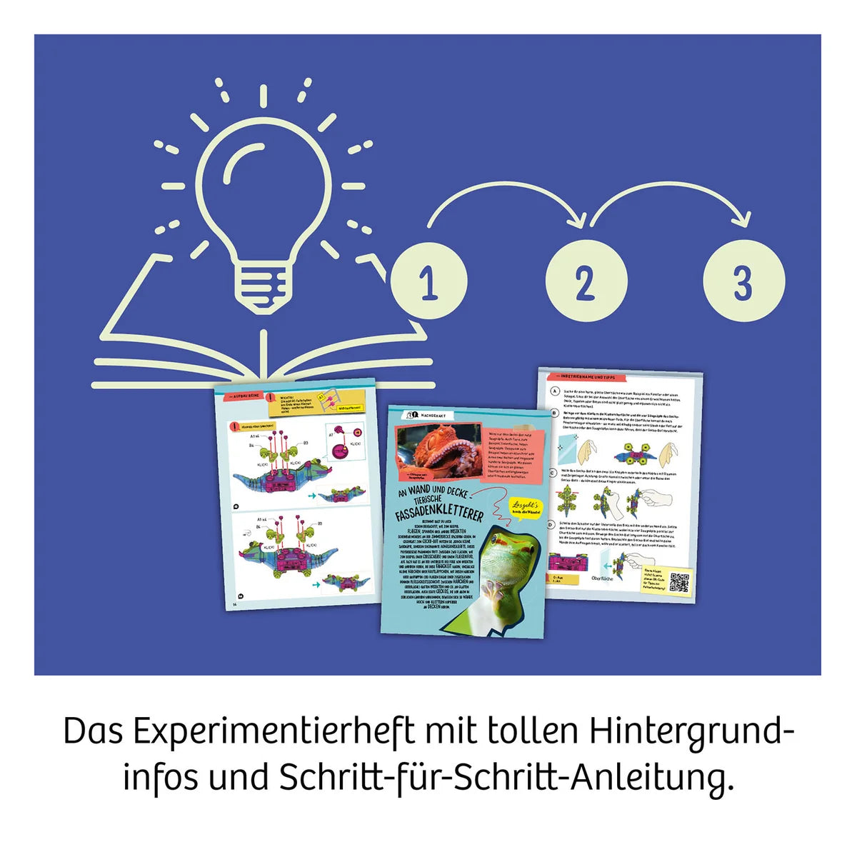 Kosmos Gecko - Bot - Bild 3