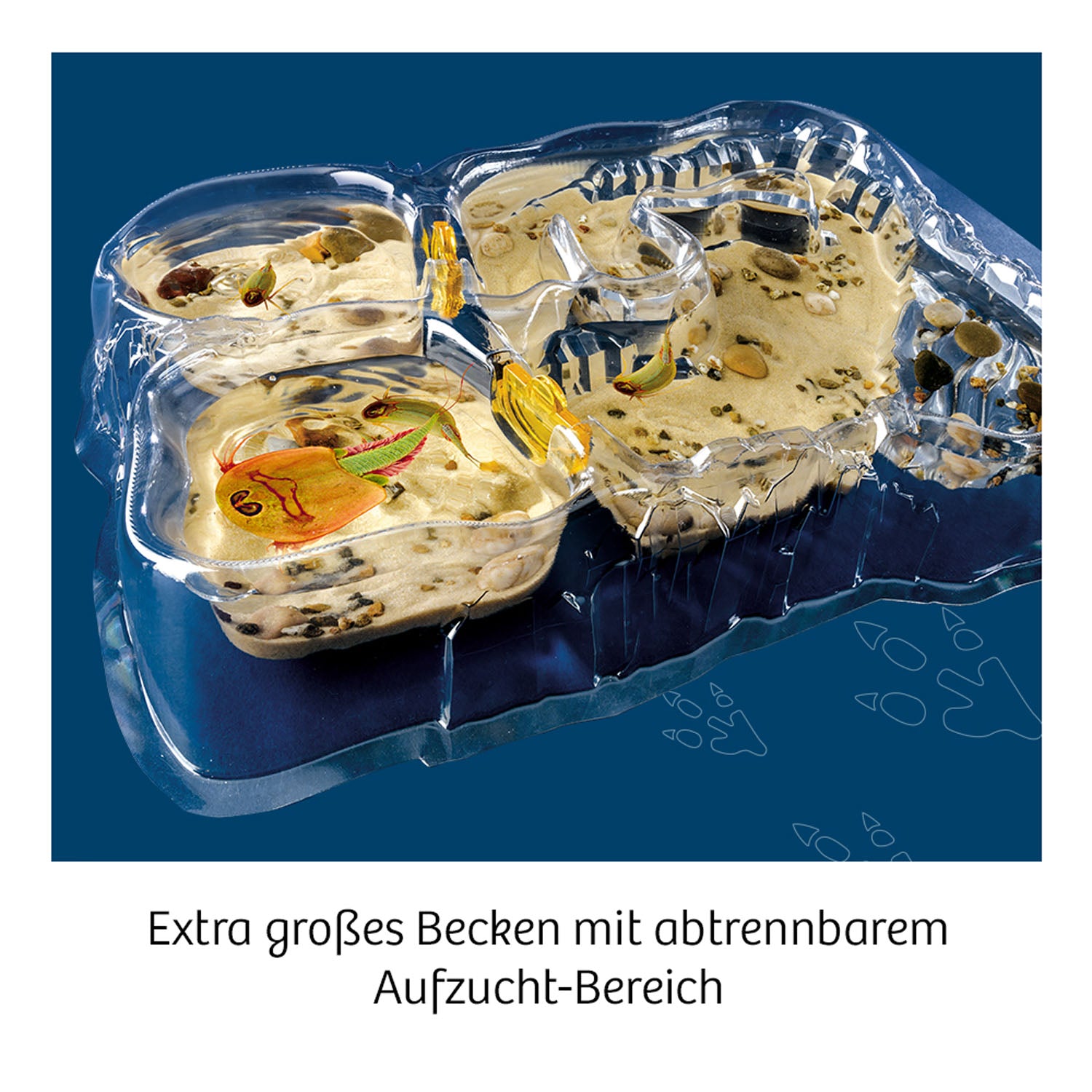 Kosmos Triops-Welt - Bild 2