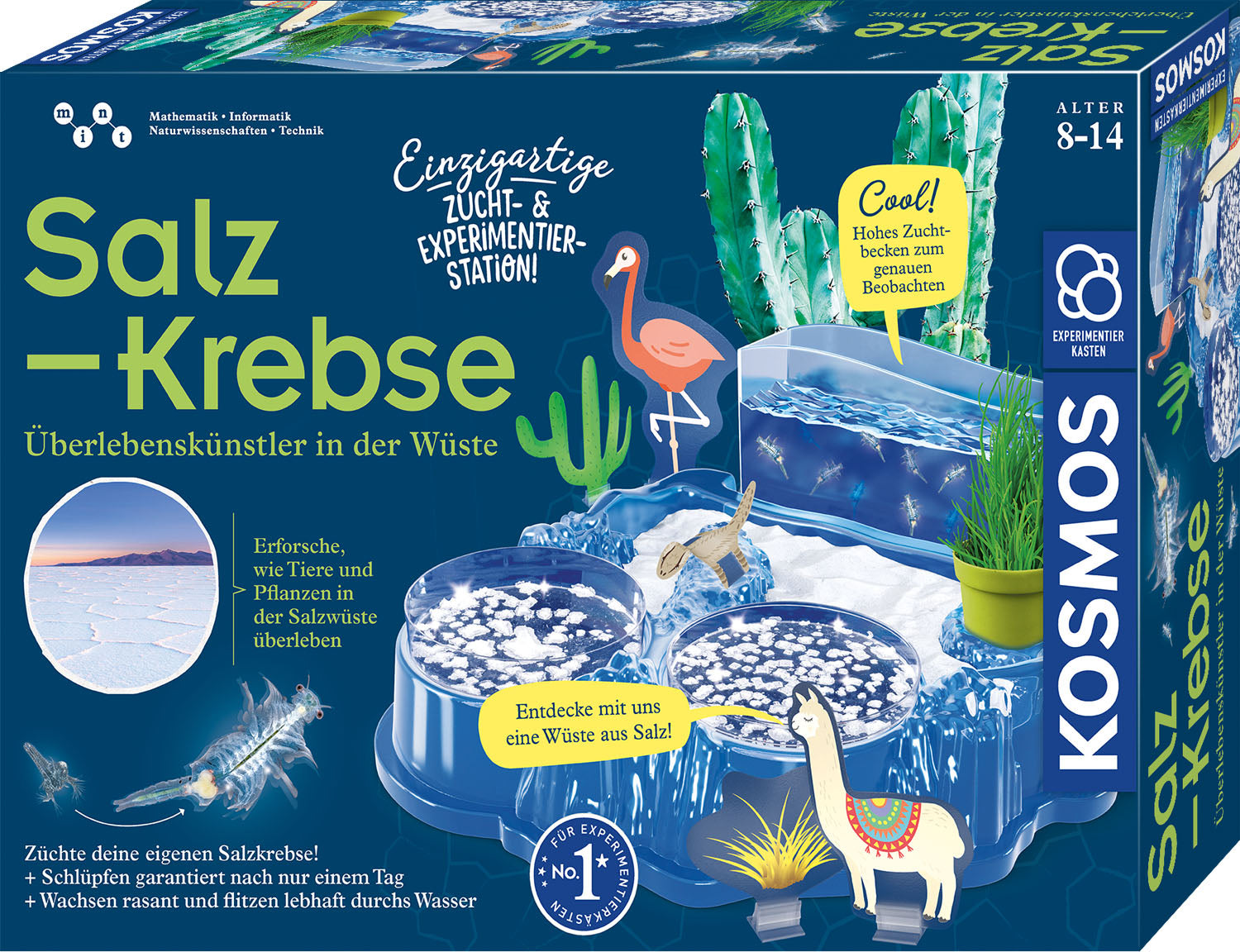 Kosmos Urzeit Salz - Krebse - Bild 1