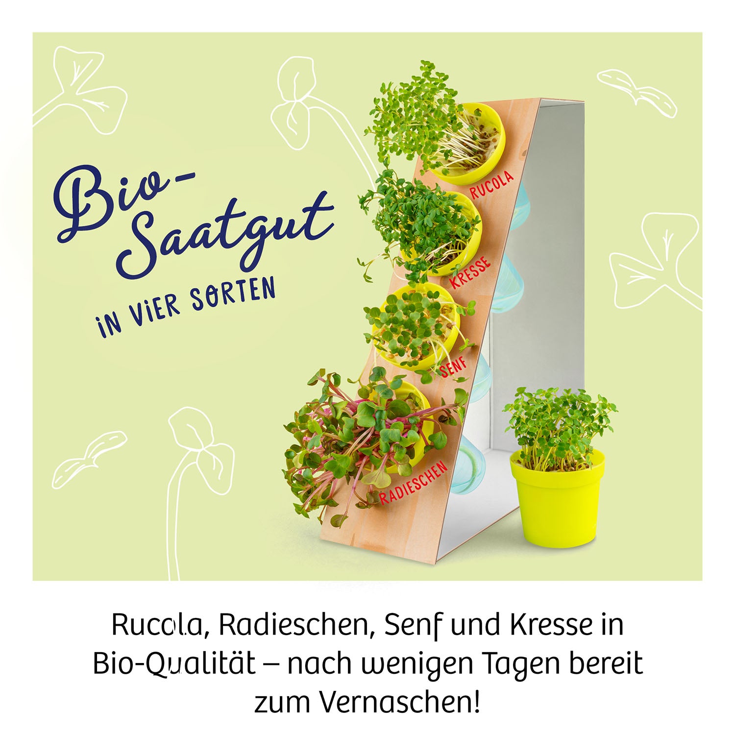 Kosmos Experimentierkasten Microgreen-Garten - Bild 3