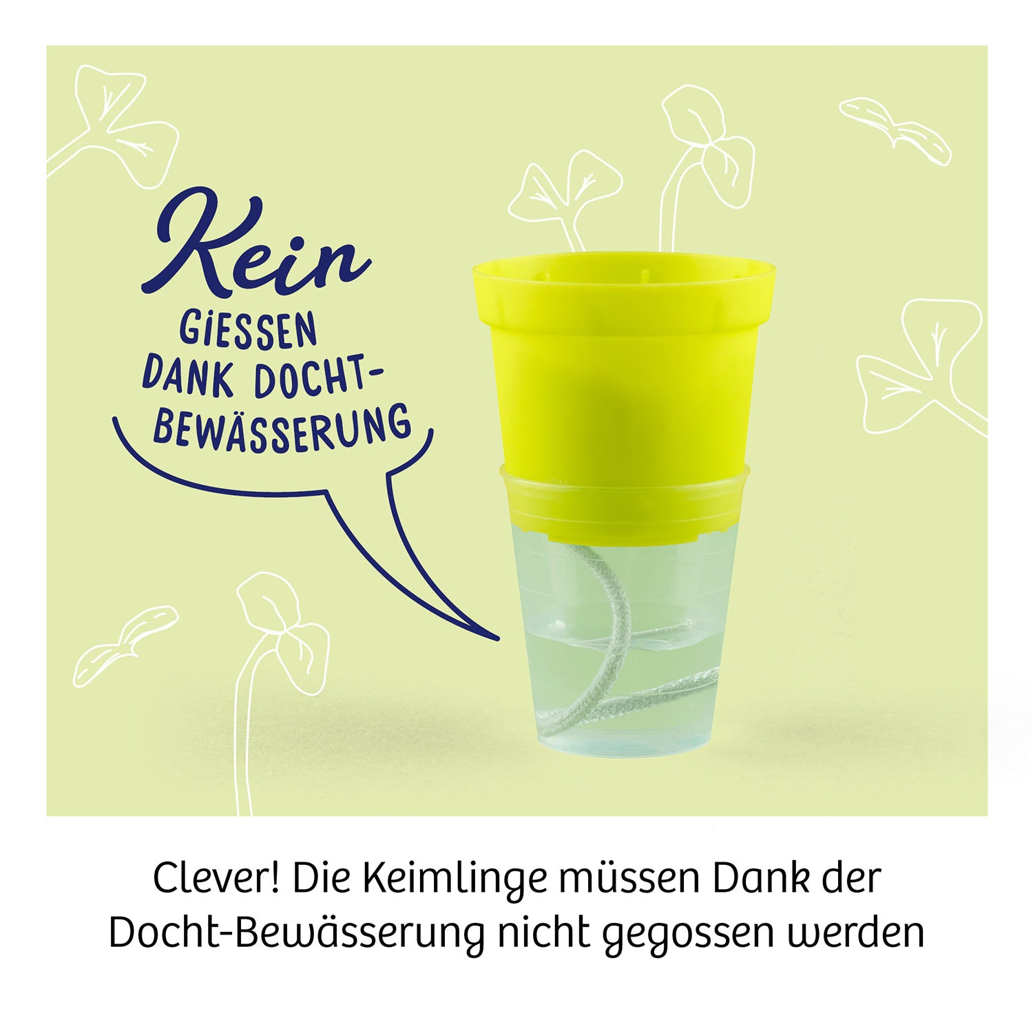 Kosmos Experimentierkasten Microgreen-Garten - Bild 4