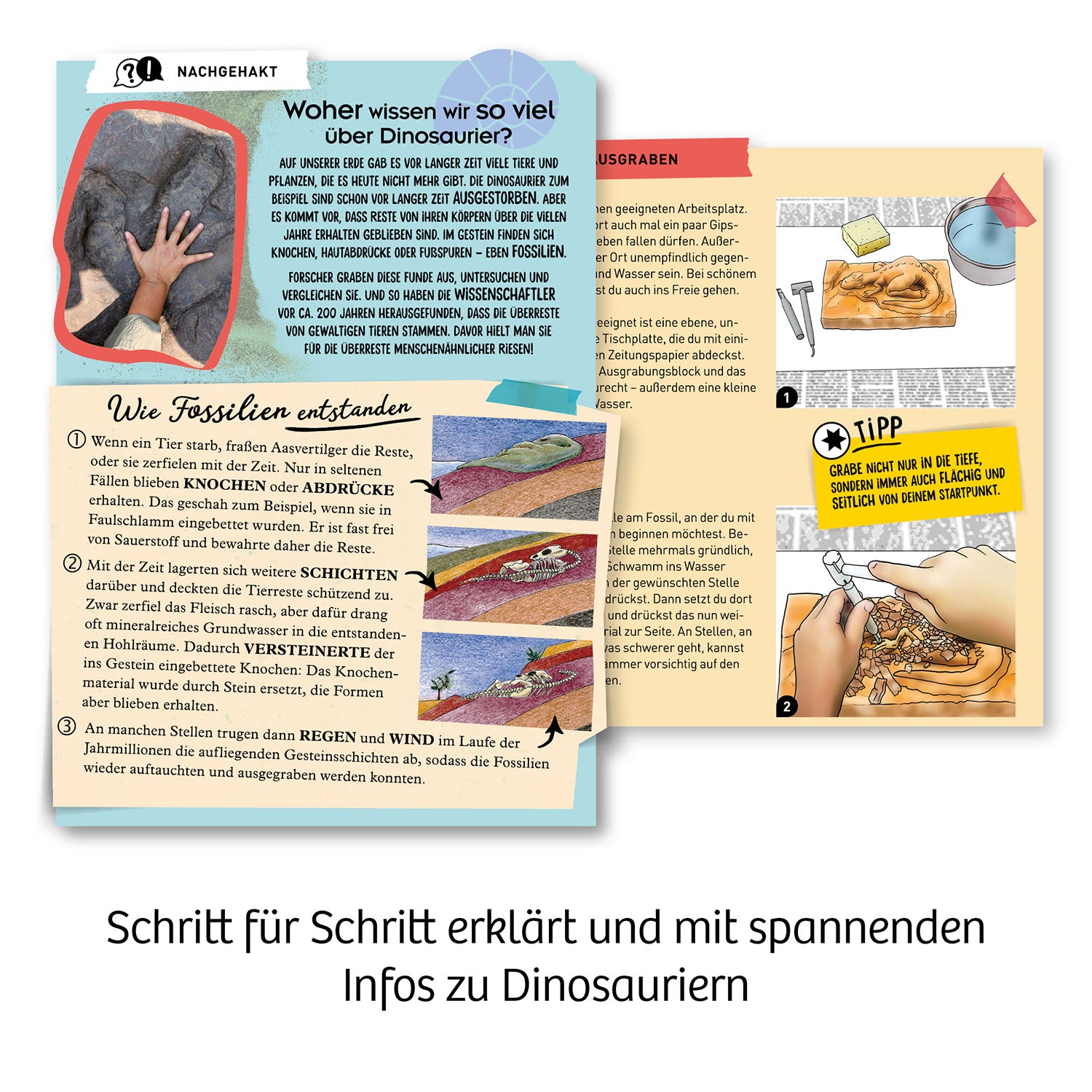 Mitbring Experimente T-REX 3D - Bild 5