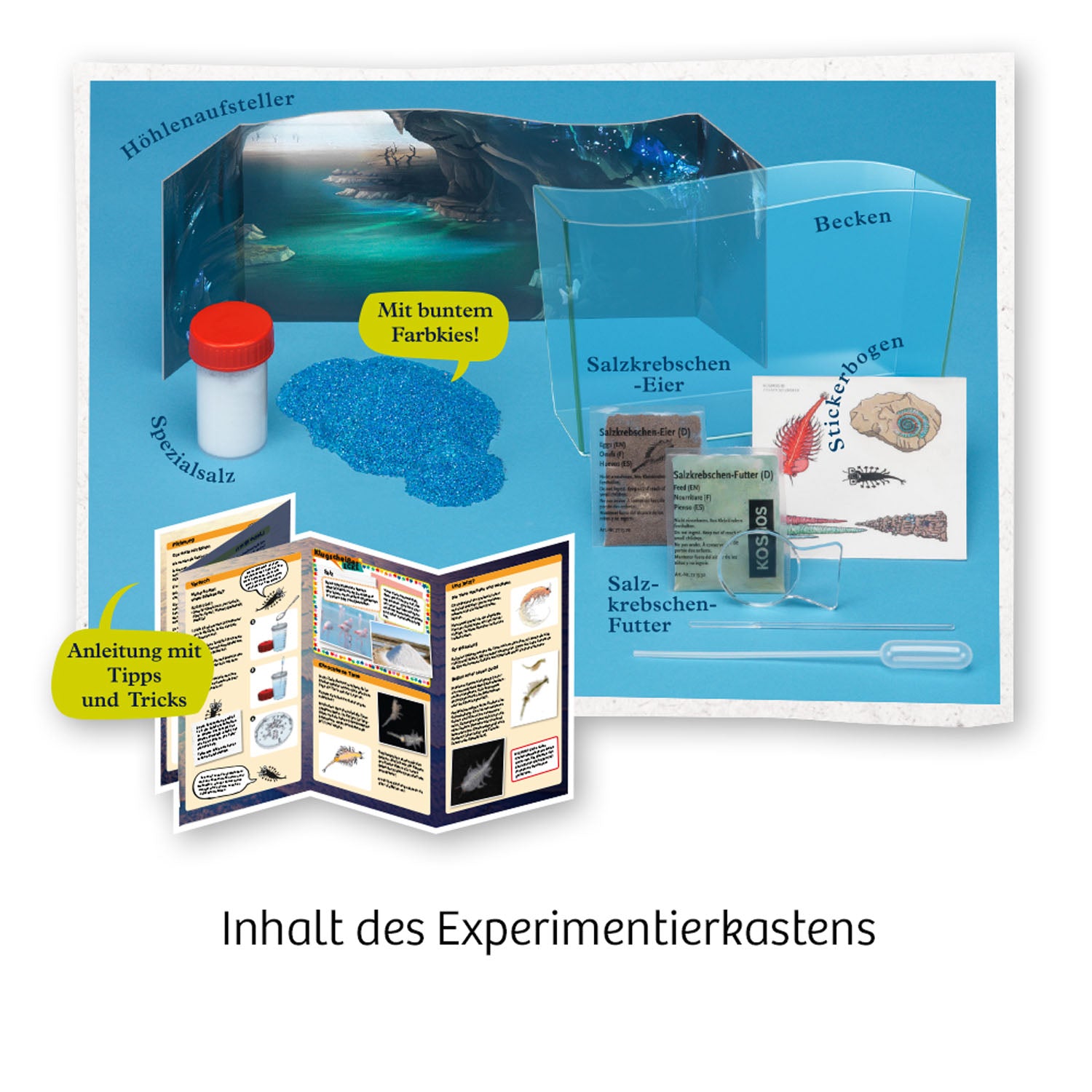 Fun Science Wuselnde Salzkrebse - Bild 2