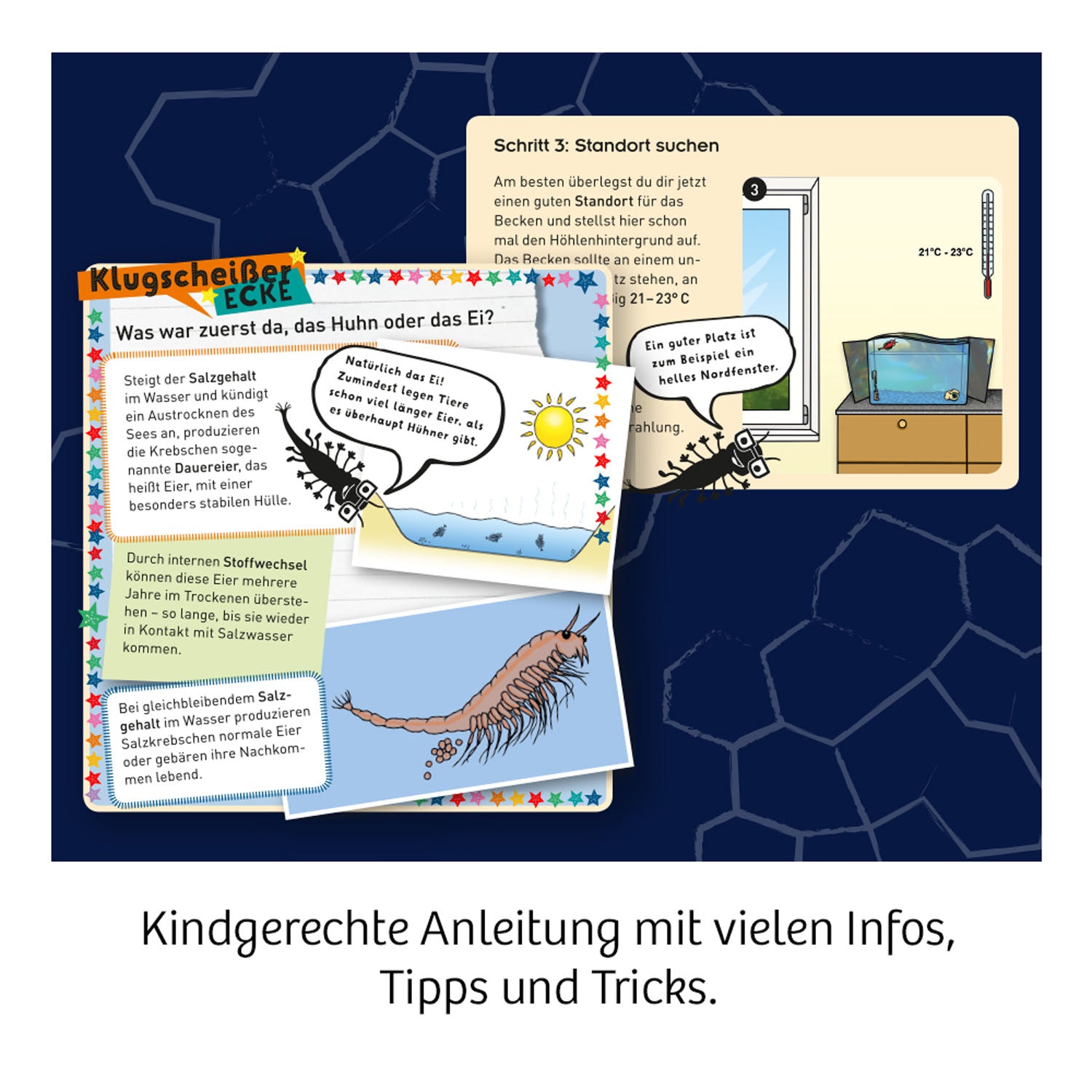 Fun Science Wuselnde Salzkrebse - Bild 4