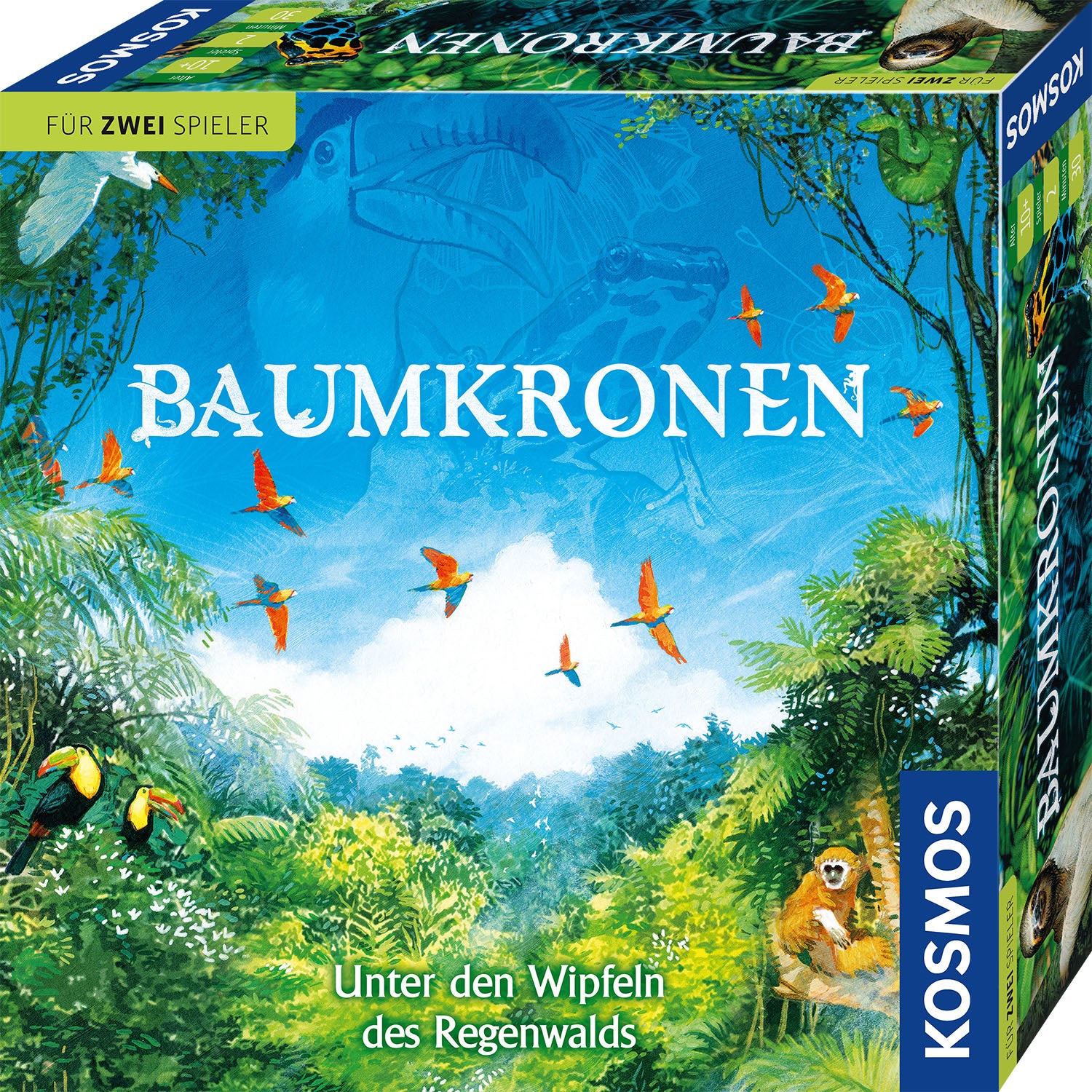 Baumkronen - Bild 1