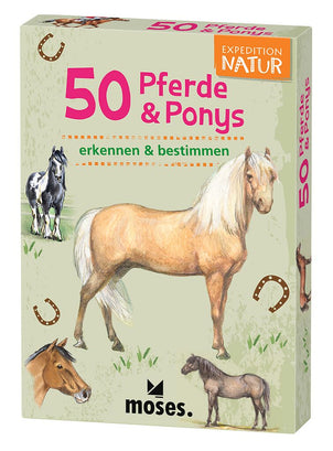 50 Tiere Pferde & Ponys