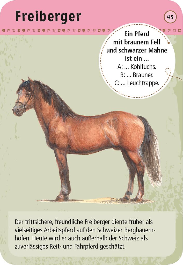 50 Tiere Pferde & Ponys - Bild 2