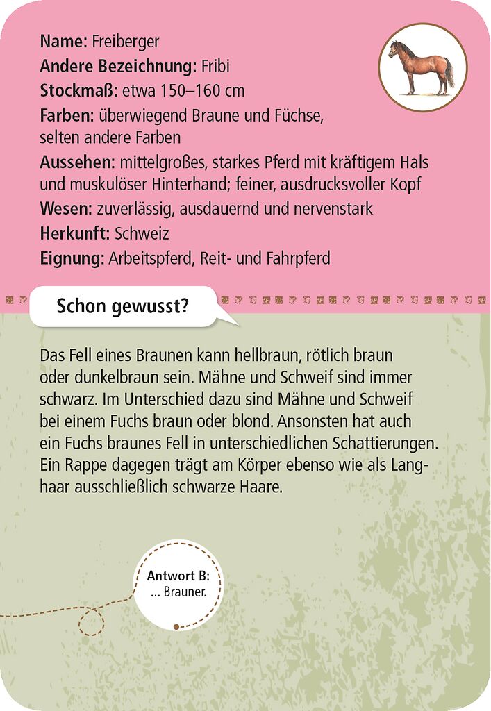 50 Tiere Pferde & Ponys - Bild 3