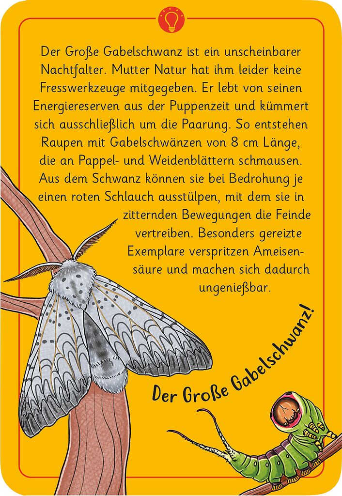 50 Natur wundersame Tierrätsel Insekten - Bild 2