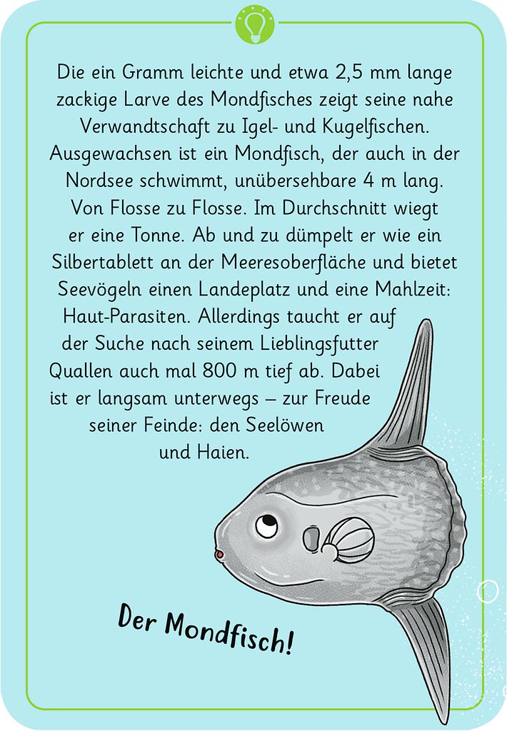 50 Natur wundersame Tierrätsel  Meer und Strand - Bild 4