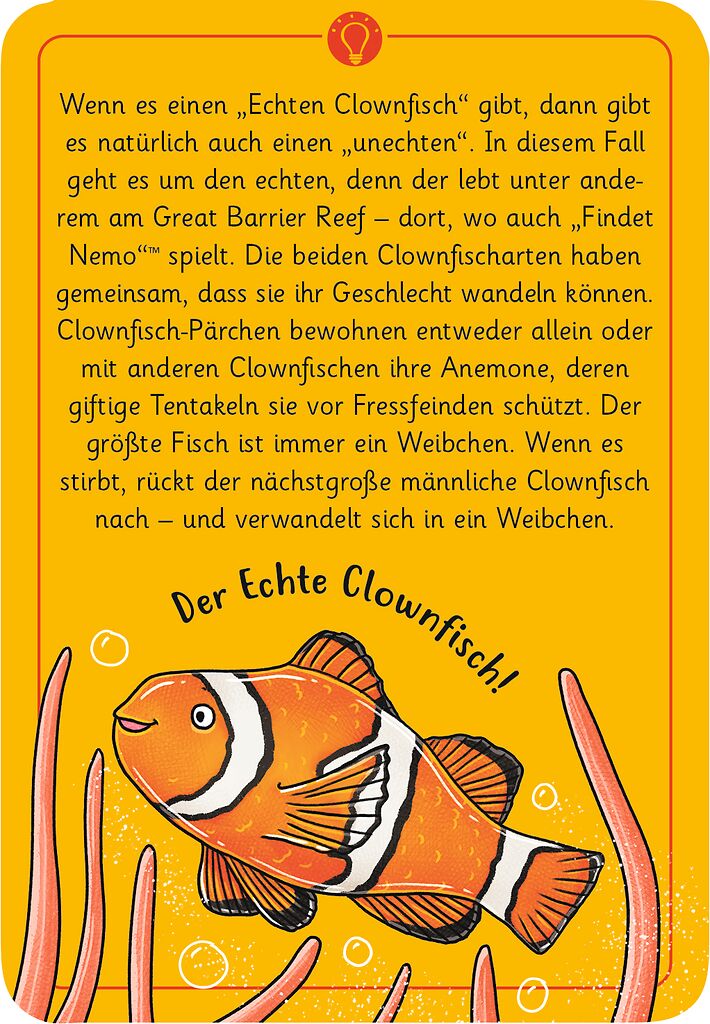 50 Natur wundersame Tierrätsel  Meer und Strand - Bild 2
