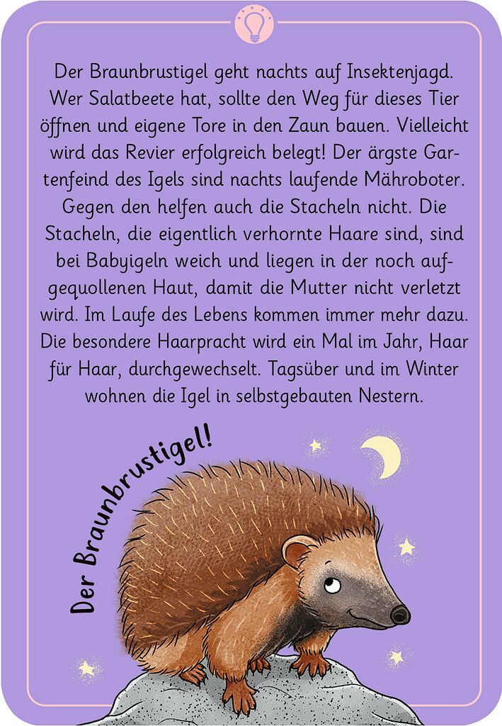 50 Natur wundersame Tierrätsel  Tiere der Nacht - Bild 3