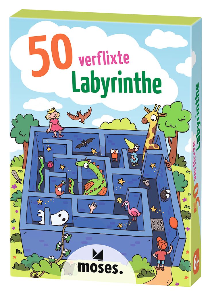 50 verflixte Labyrinthe - Bild 1
