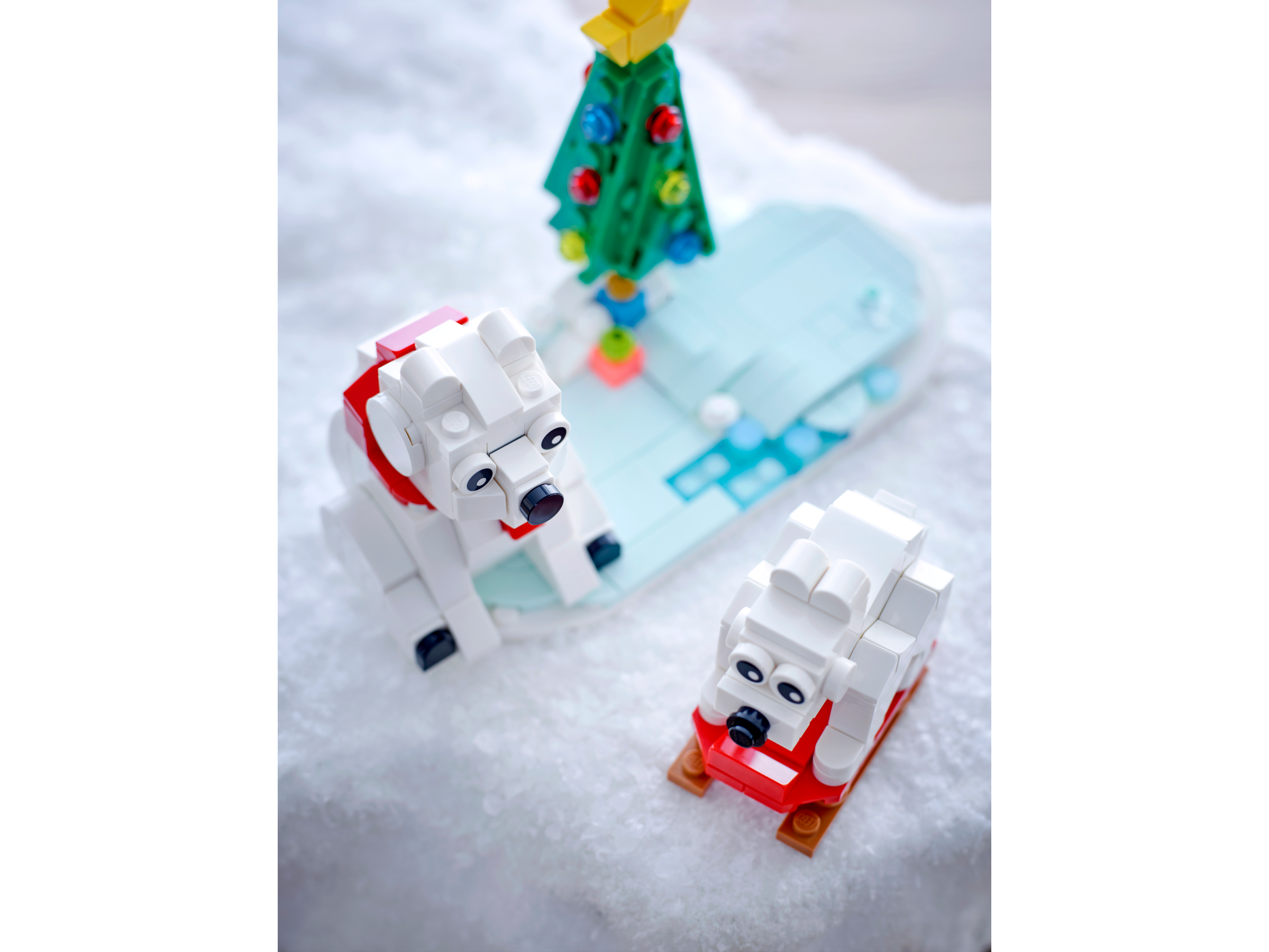 LEGO Eisbären im Winter 40571 - Bild 3