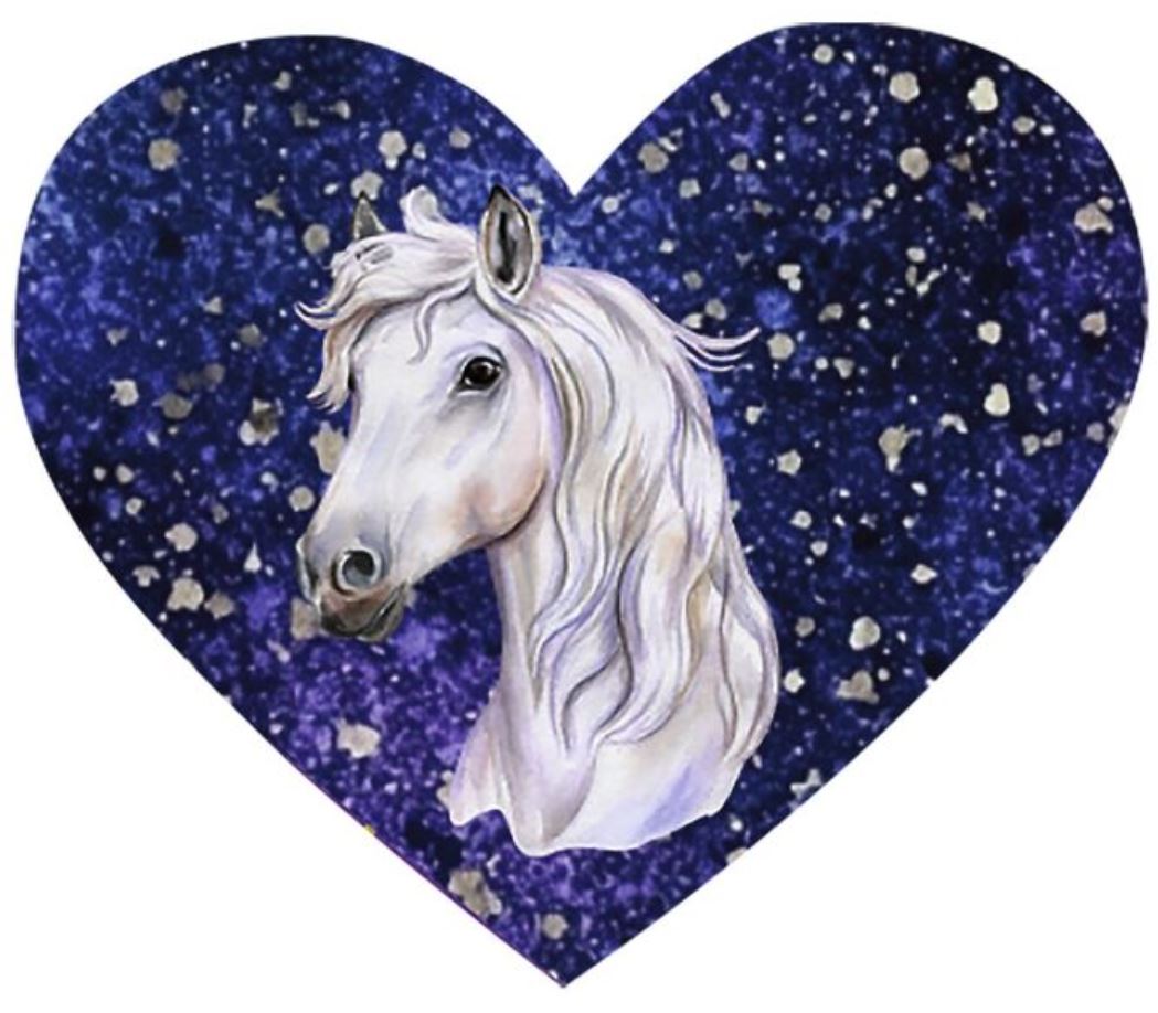 Pferde Pflaster - Bild 5