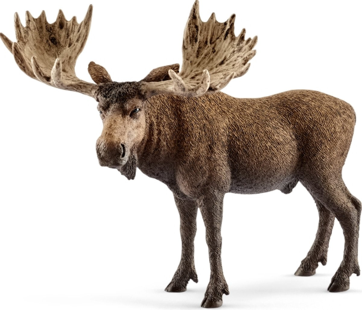 Schleich Elch Bulle 14781 - Bild 1
