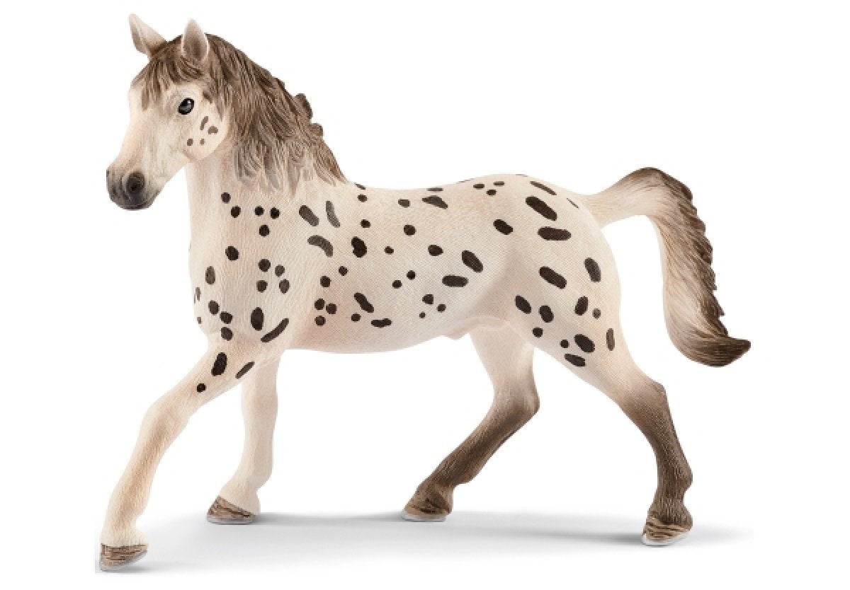 Schleich Knabstrupper Hengst 13889 - Bild 1