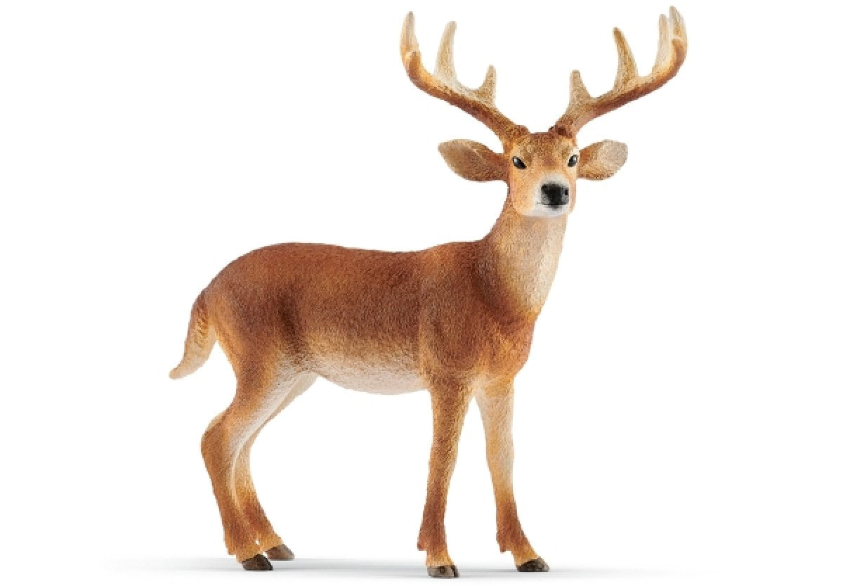 Schleich Weisswedelhirsch 14818 - Bild 1