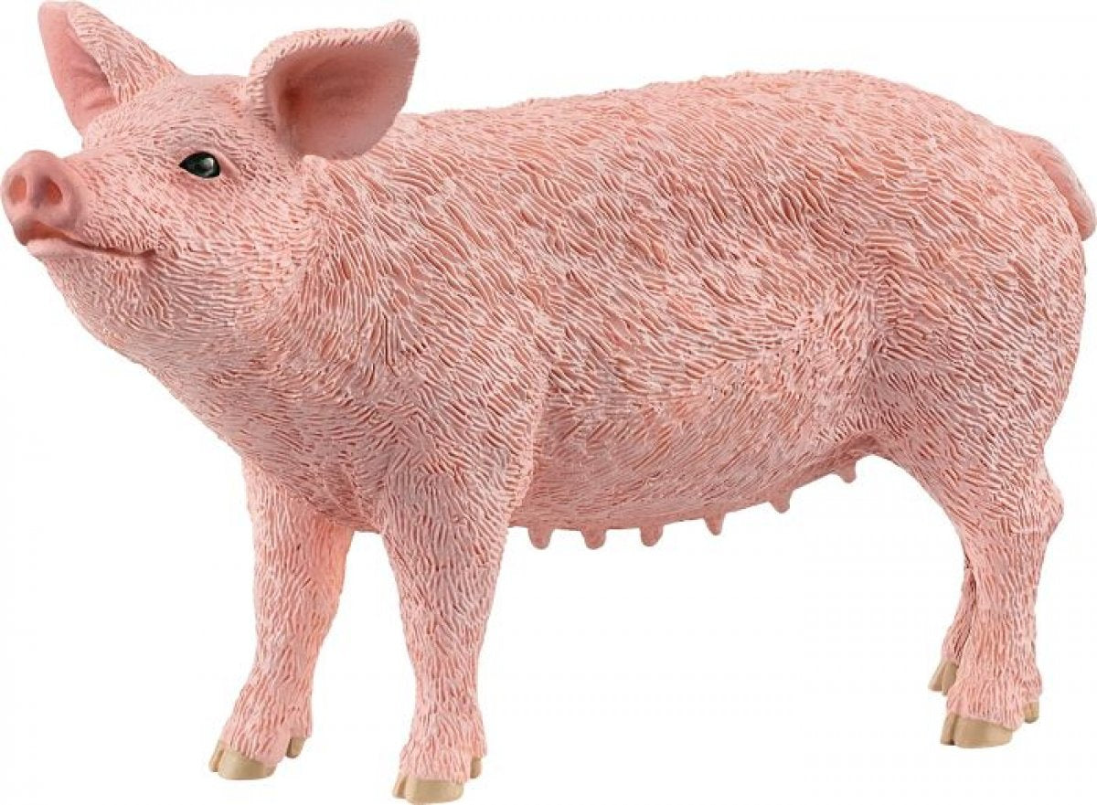 Schleich Schwein 13933 - Bild 1