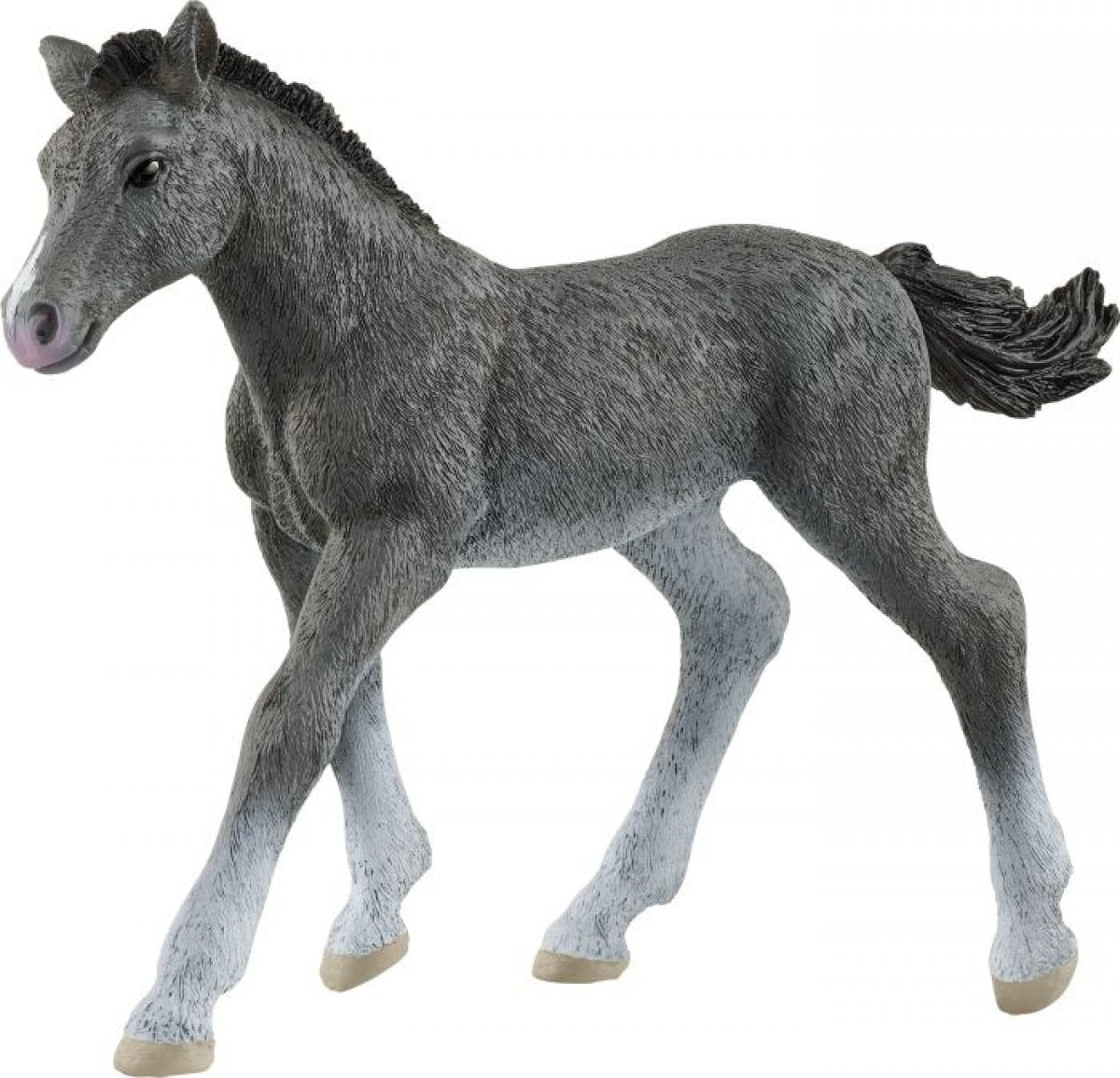 Trakehner Fohlen 13944 - Bild 1