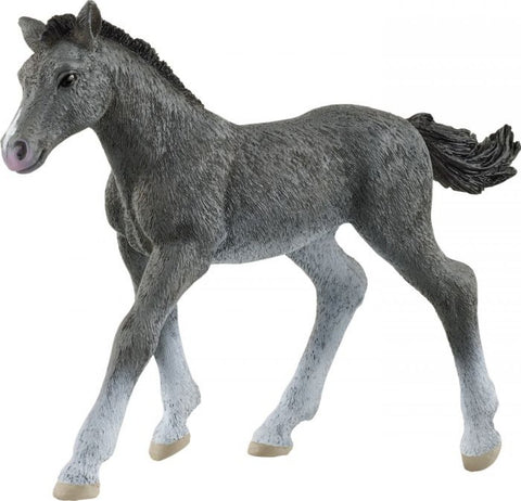 Trakehner Fohlen 13944