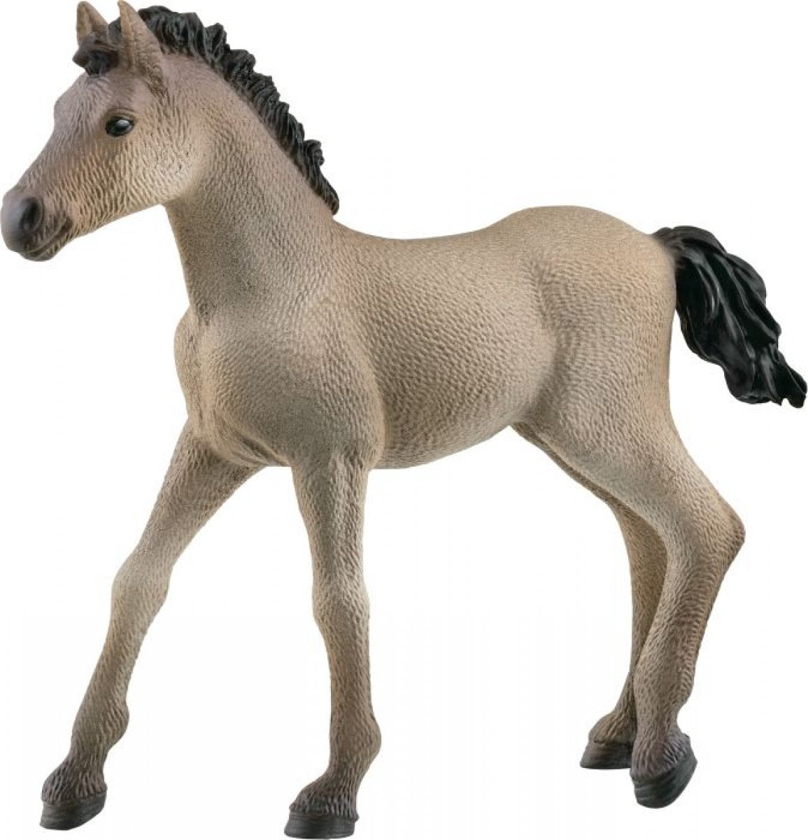 Schleich Criollo Definitivo Fohlen 13949 - Bild 1