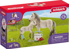 Schleich Horse Club Hannahs Erste-Hilfe-Set 42430