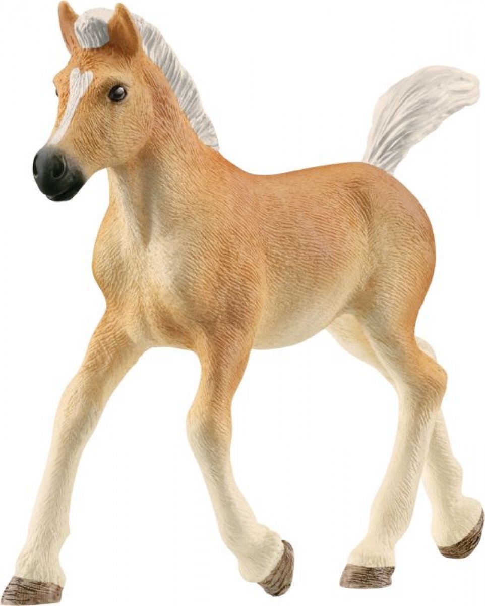 Schleich Haflinger Fohlen 13951 - Bild 1