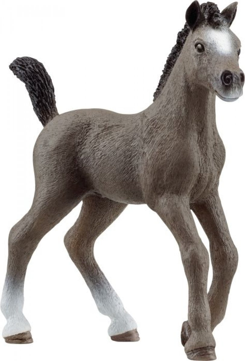 Schleich Horse Club Cheval de Selle Francais Fohlen 13957 - Bild 1