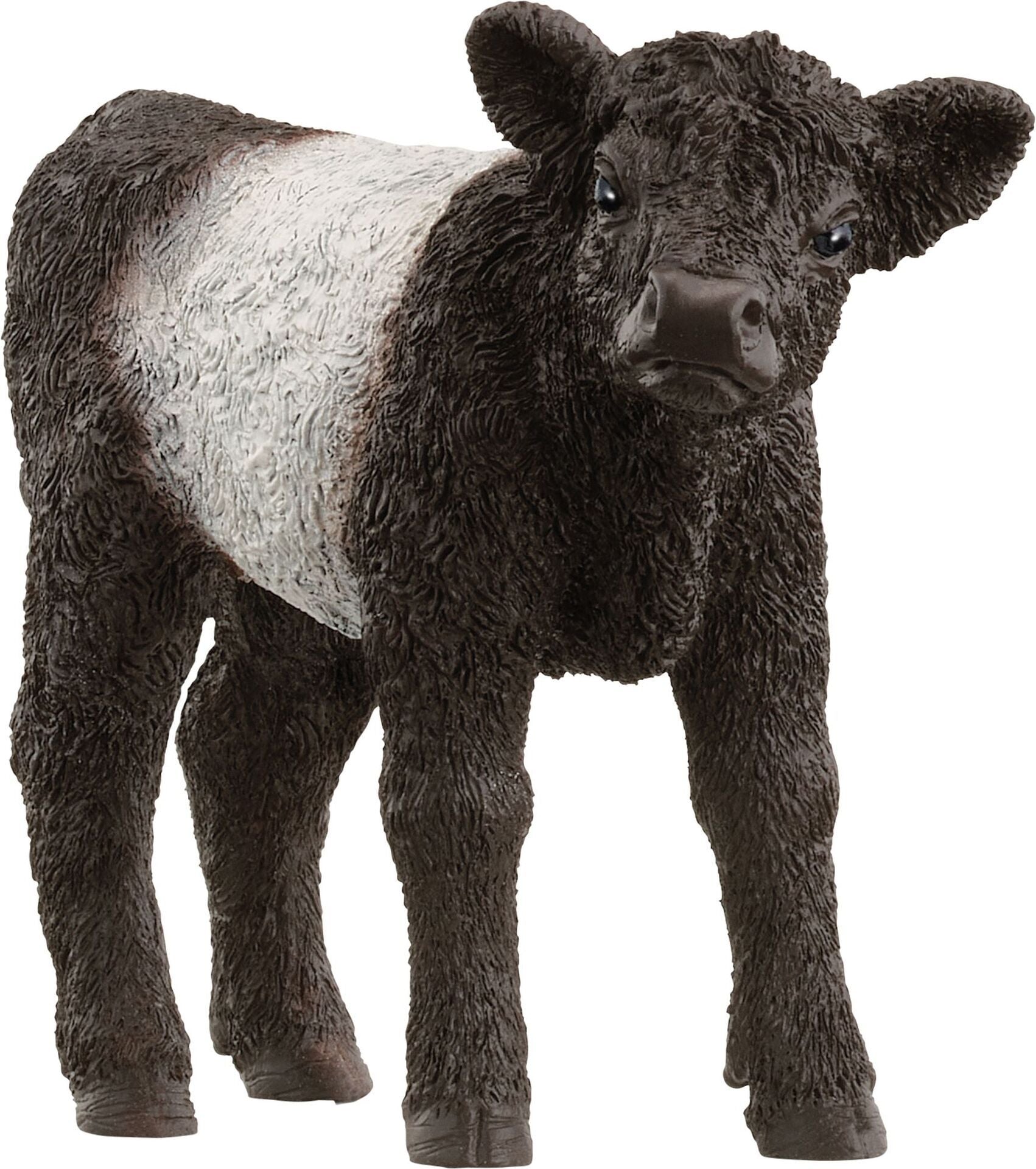 schleich® FARM WORLD 13969 Galloway Kalb - Bild 1