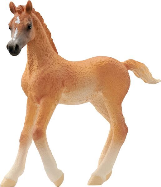schleich® HORSE CLUB 13984 Araber Fohlen - Bild 1