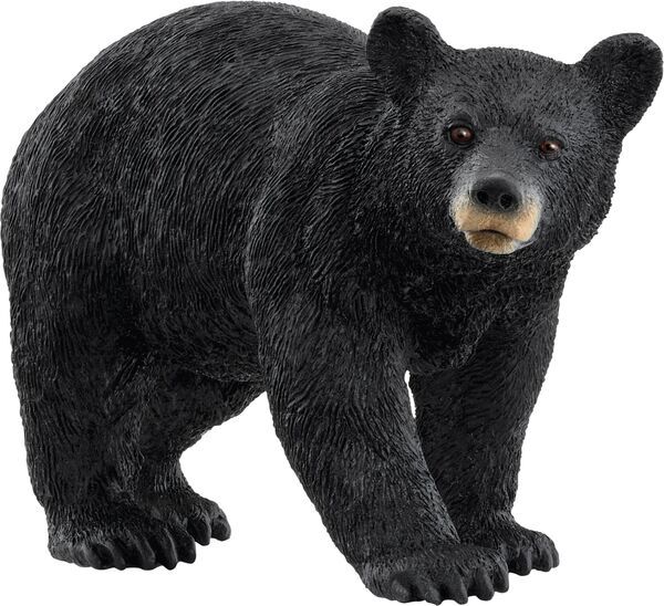 schleich® WILD LIFE 14869 Amerikanischer Schwarzbär - Bild 1