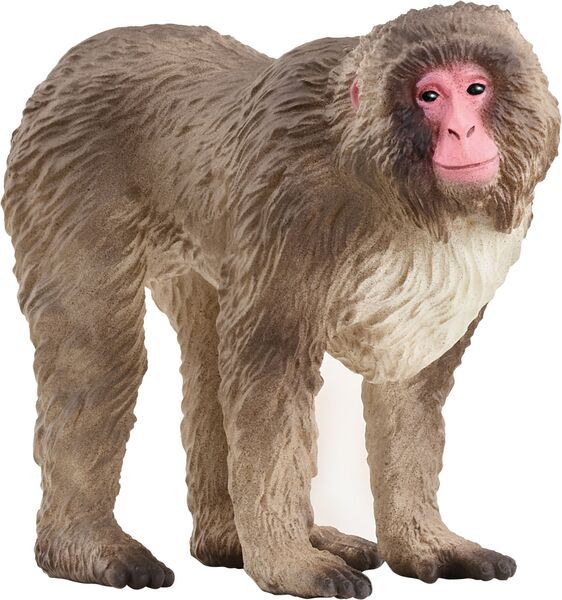 schleich® WILD LIFE 14871 Japanmakak - Bild 1