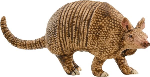 schleich® WILD LIFE 14874 Gürteltier - Bild 1