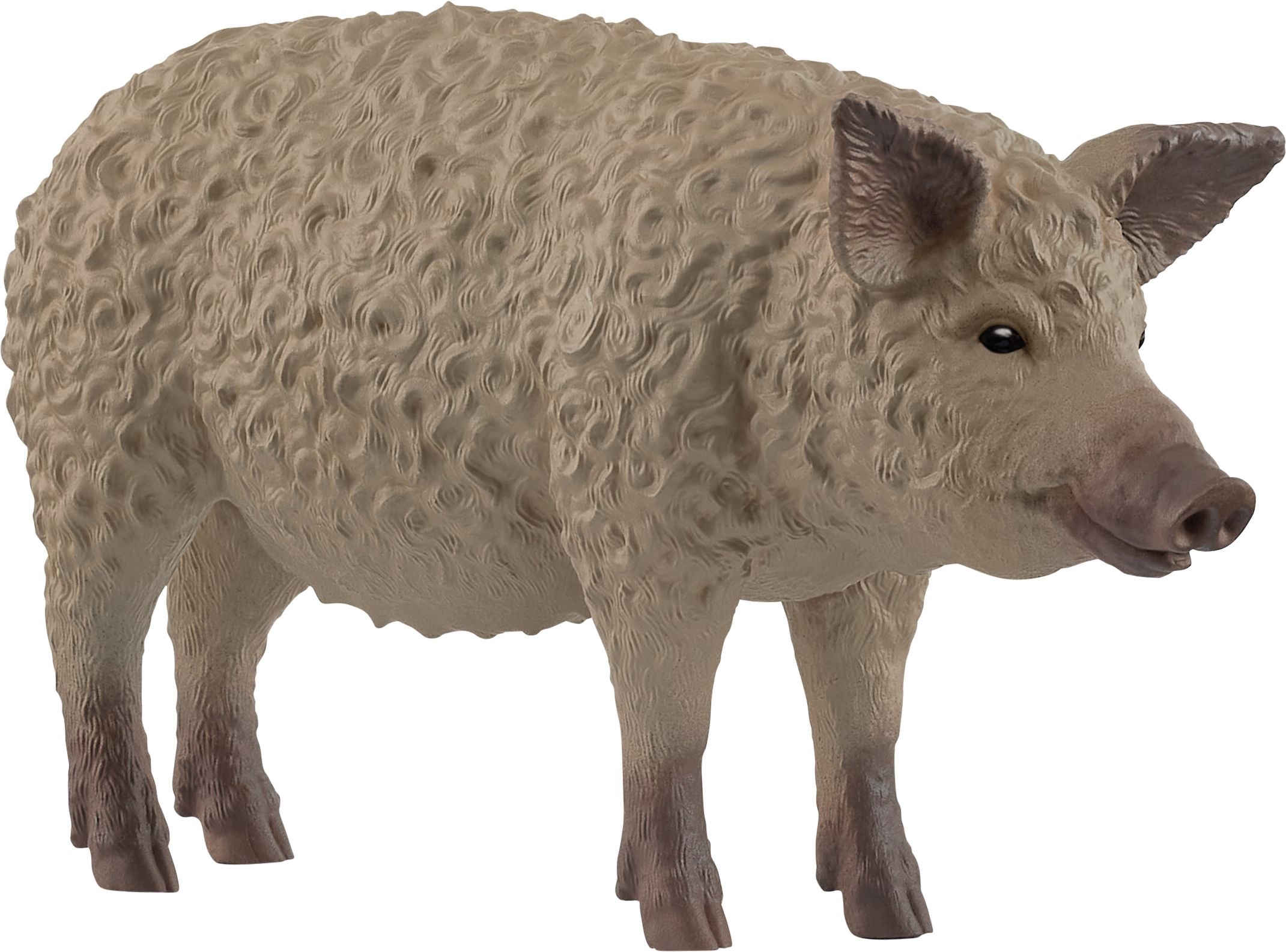 Schleich Wollschwein 14892 - Bild 1