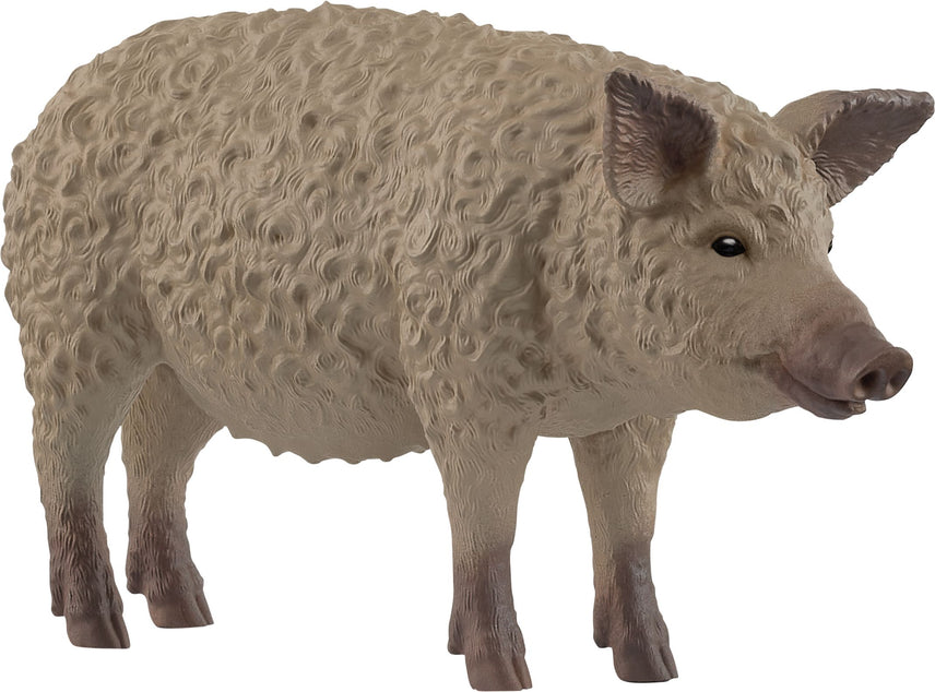 Schleich Wollschwein 14892