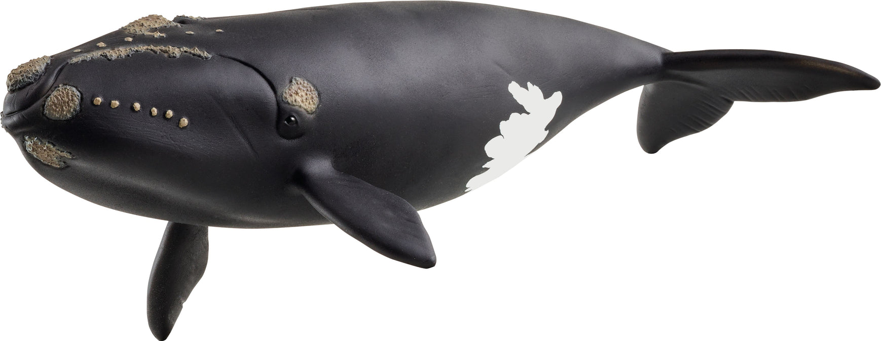 Schleich Nordatlantischer Glattwal 14878