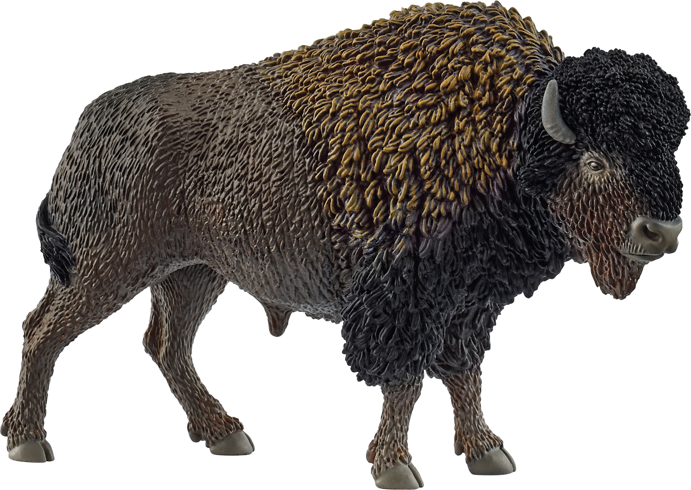 Schleich Bison 14879 - Bild 1