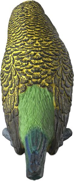 Schleich 14939 Wellensittich - Bild 4