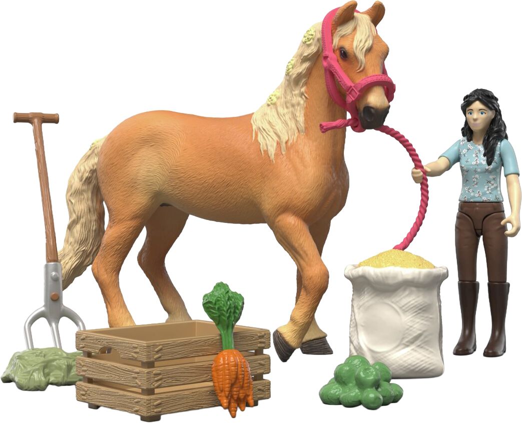 Schleich Horse Club 42797 Emily s Pflege Set - Bild 1