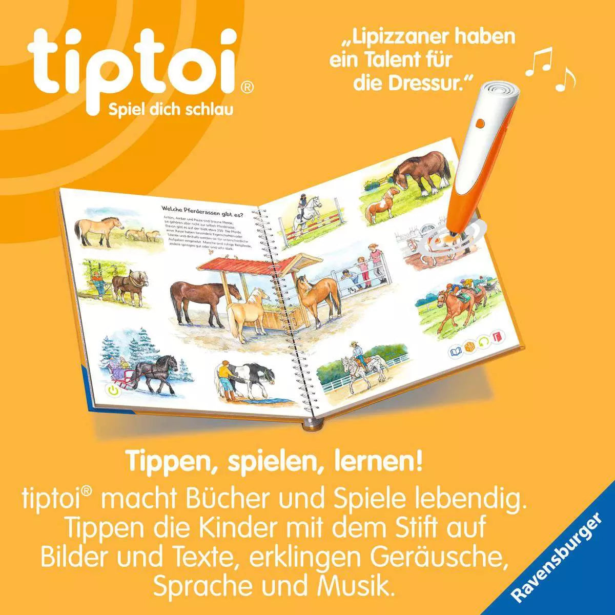 tiptoi WWW Wir entdecken Pferde und Ponys 49.229 - Bild 4