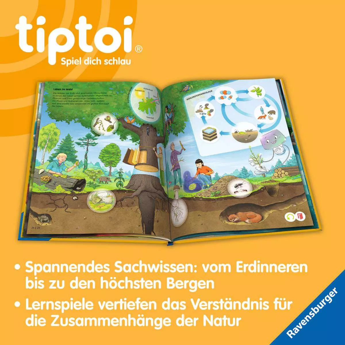 tiptoi Die Erde: Ozeane, Wetter und Vulkane 49.296 - Bild 5