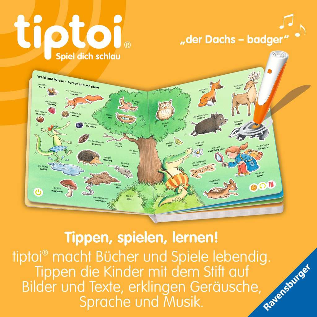 Tiptoi Mein erstes Bild-Wörterbuch Deutsch - Englisch 49.297 - Bild 4