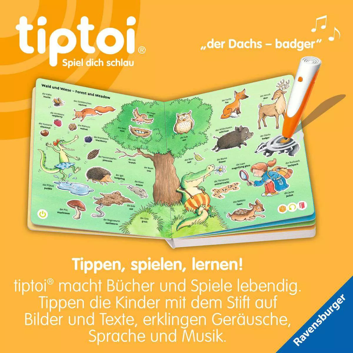 tiptoi Mein erstes Bild-Wörterbuch Deutsch - Englisch 49.297 - Bild 4