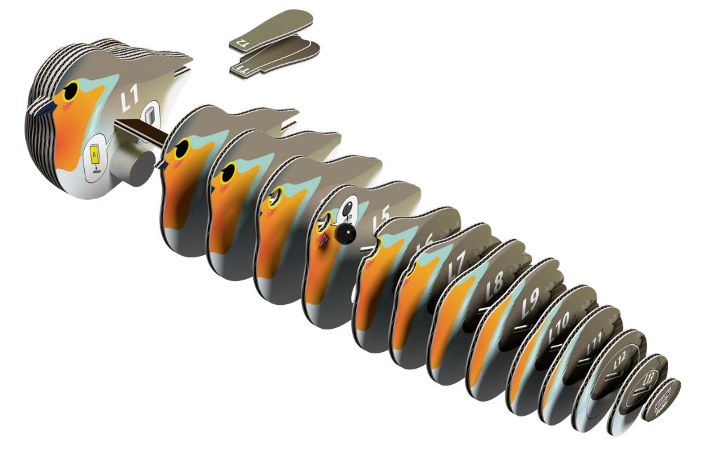 3D Bastelset Rothkelchen - Bild 4