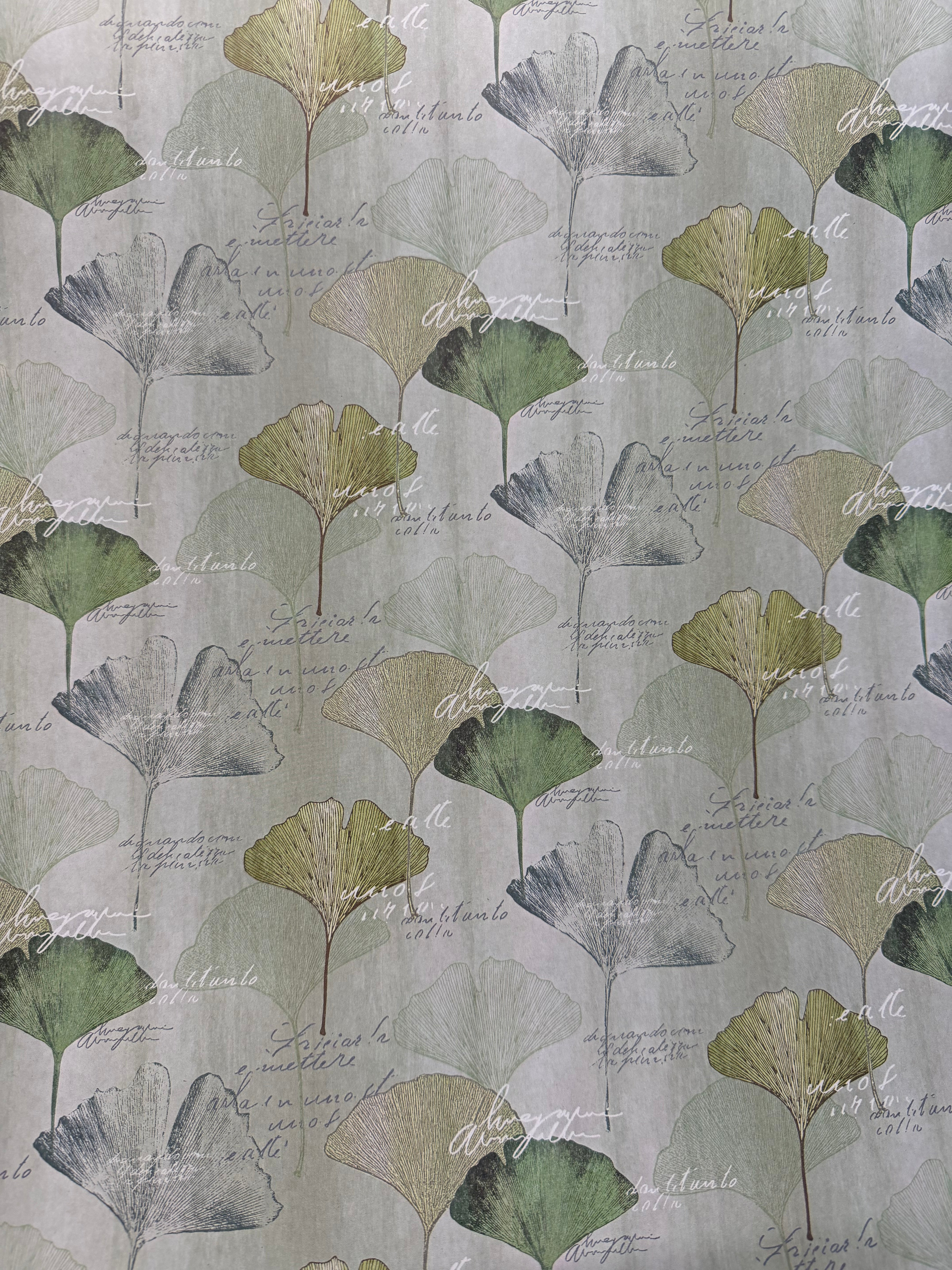 Ginkgo Blätter