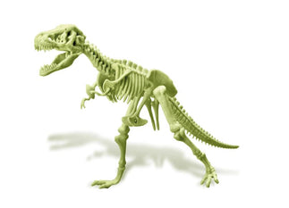 Leuchtendes T-Rex Skelett